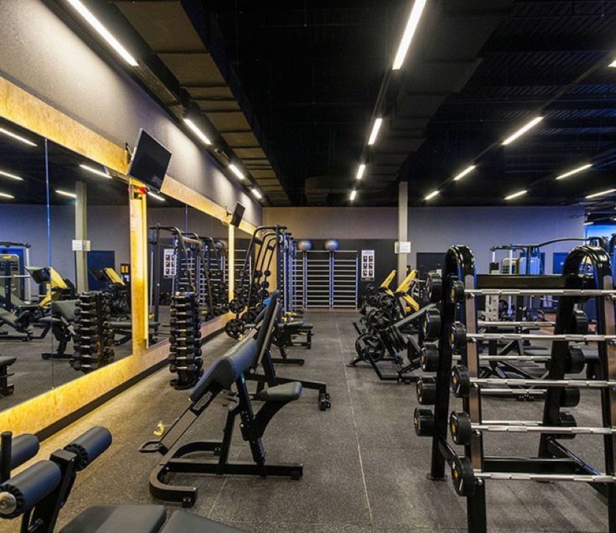 Alat Gym WULF