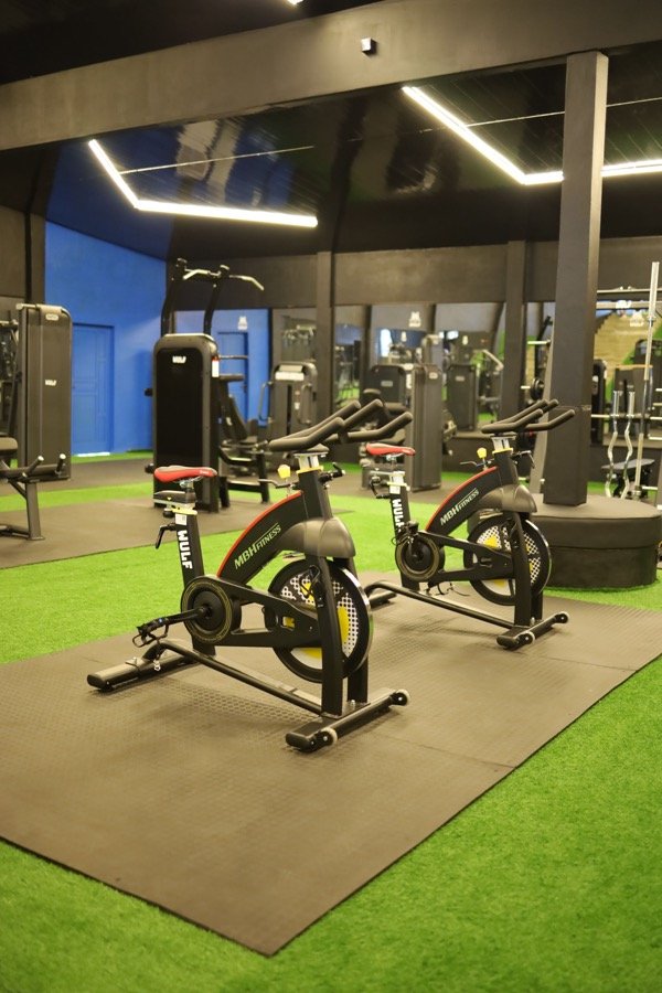 Spin Studio WULF